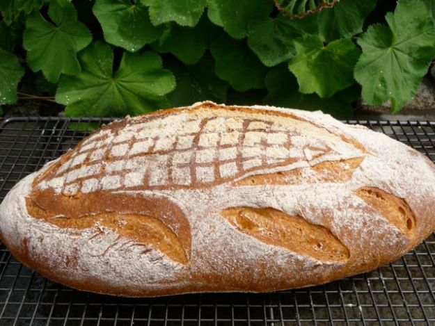 Corn bread with alchemilla