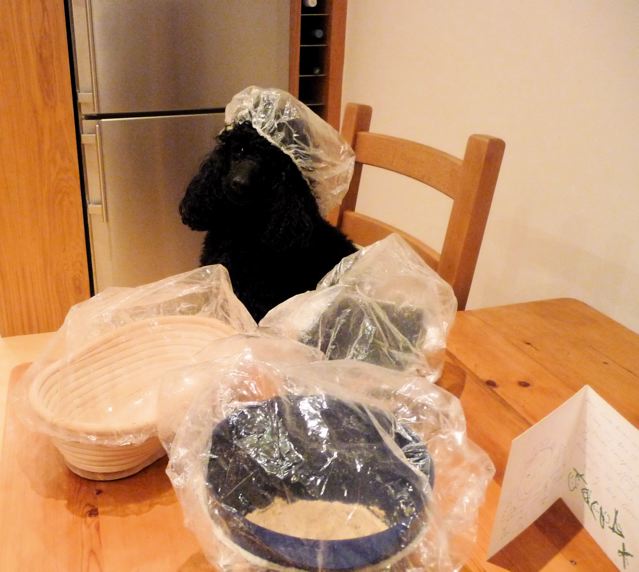 ZebBakes. showercap, bannetons