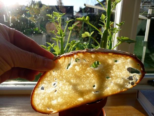 country bread hamelman