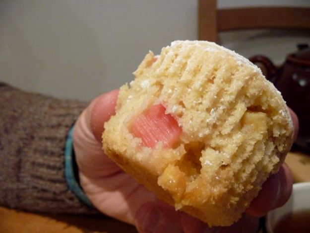 Pink rhubarb and white chocolate muffin