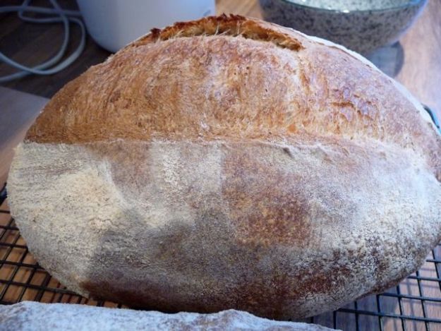 Whole wheat brown bread