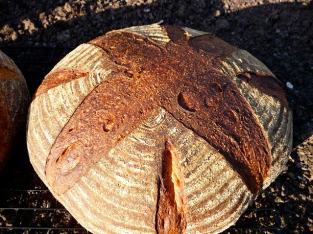 Pain au levain with wholewheat Pain au levain with wholewheat