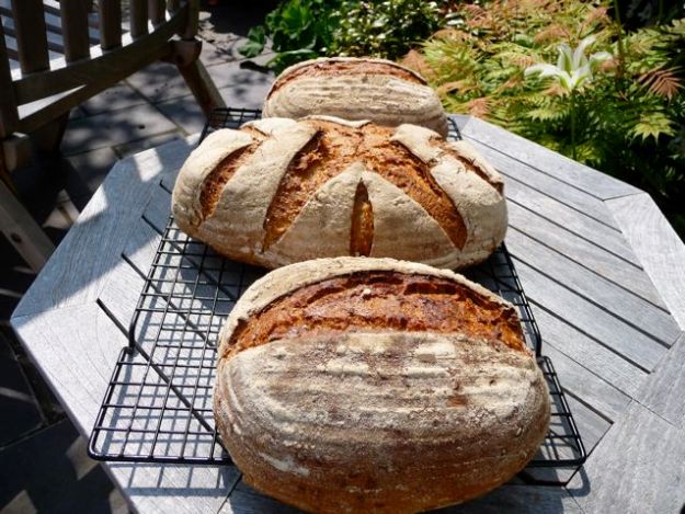 Hamelman's Linseed Rye Sourdough