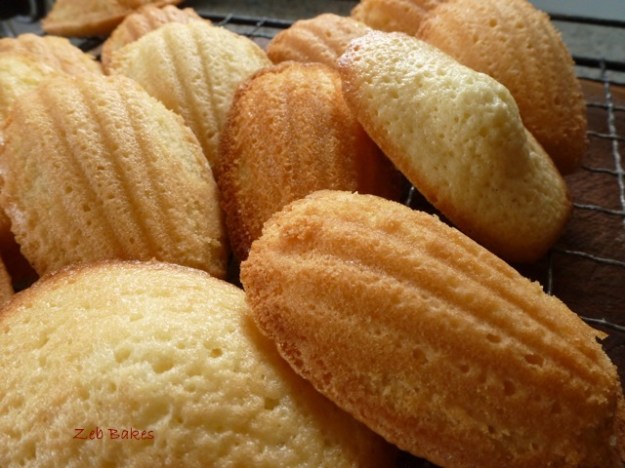 madeleines