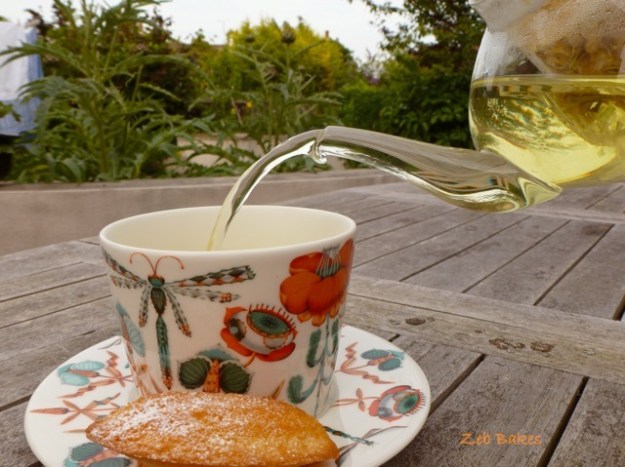 korento iitala skandium scandelicious Signe Johanssen