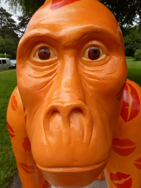 Lipstick Gorilla close to