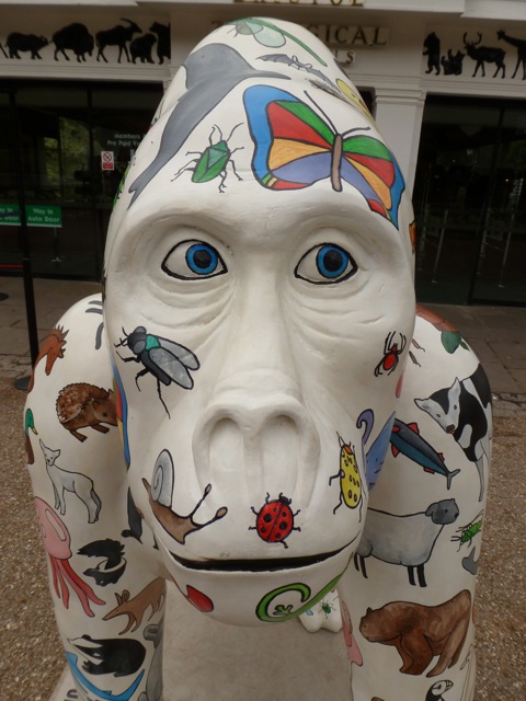 What a Sweetie Noah is!