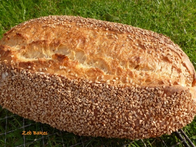 Pane con Semola di grano duro rimacinata Hamelman Semolina Bread