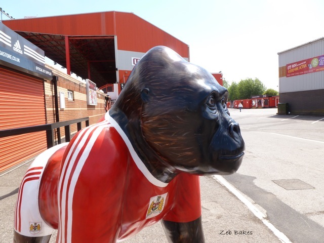 Alfred Bristol City Gorilla