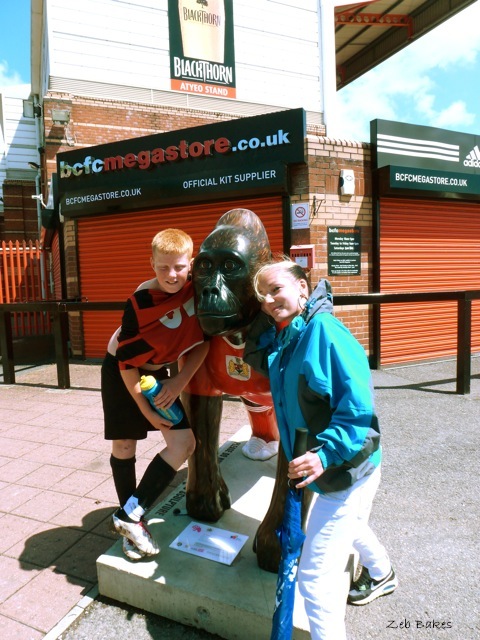 Alfred Bristol City Gorilla