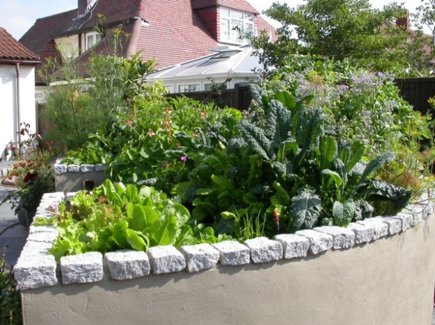 Raised Vegetable Bed