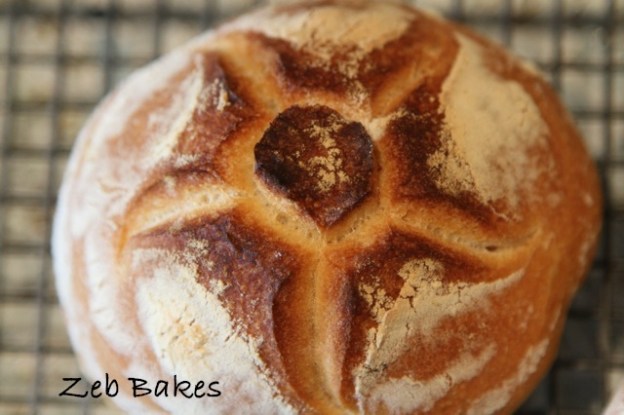 Rosette, Michette, Biga, Baking, Italian