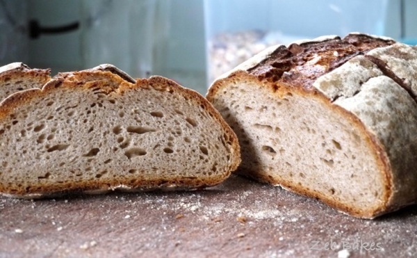 P1000162.jpg P1000162