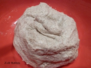 rye sourdough in oiled bowl.jpg rye sourdough, oiled bowl