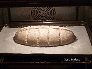 slashed and in the oven.jpg rye sourdough