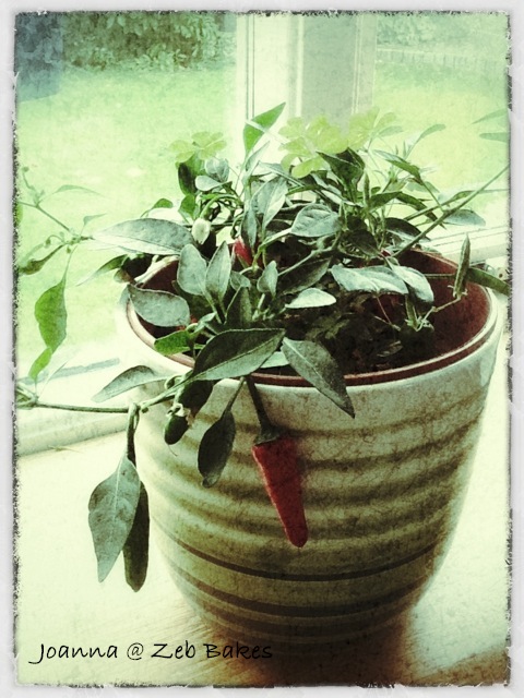 Snapseed image Joanna @ Zeb Bakes