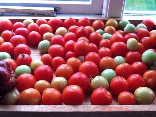 Ripening Tomatoes