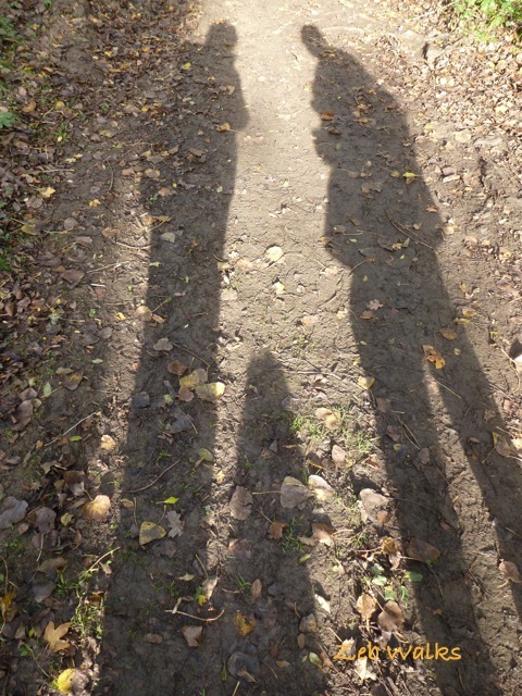 Me and My Shadows