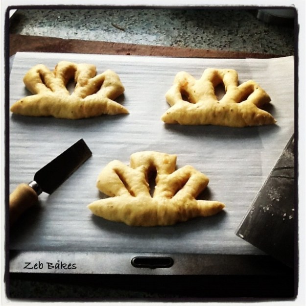 Gibassiers being cut and stretched