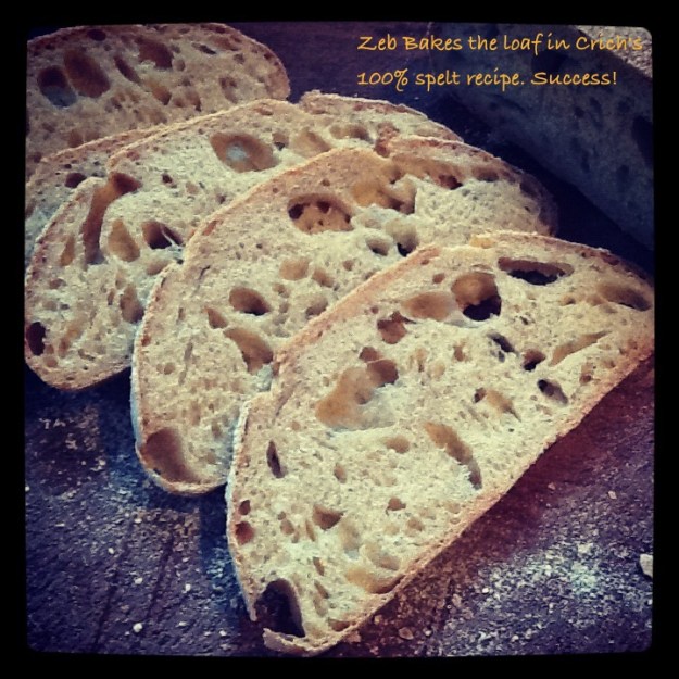 100% spelt sourdough