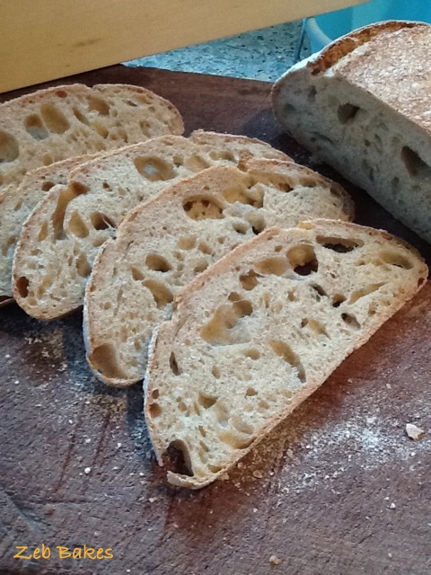 Spelt Sourdough Crumb Shot