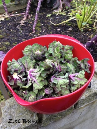 Flower sprouts in February