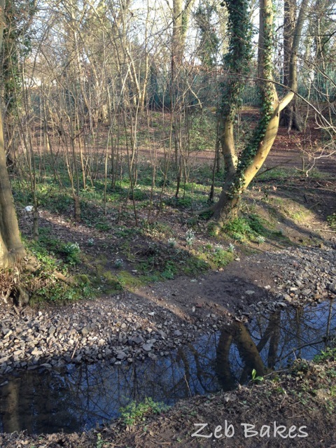 The mud has dried and there are snowdrops on the bank