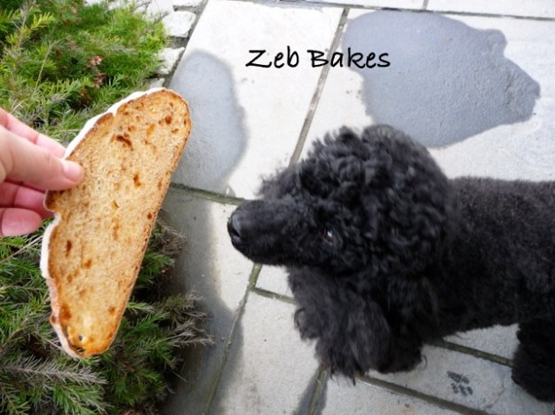 Zeb Bakes Apple Bread