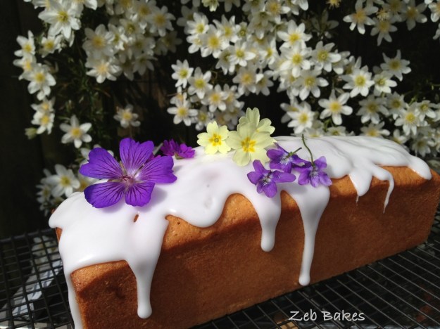 Madeira Cake Pam Corbin Cakes