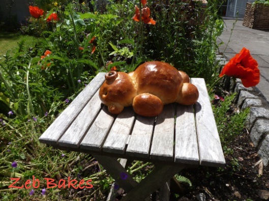 Sunbathing Bread Bear