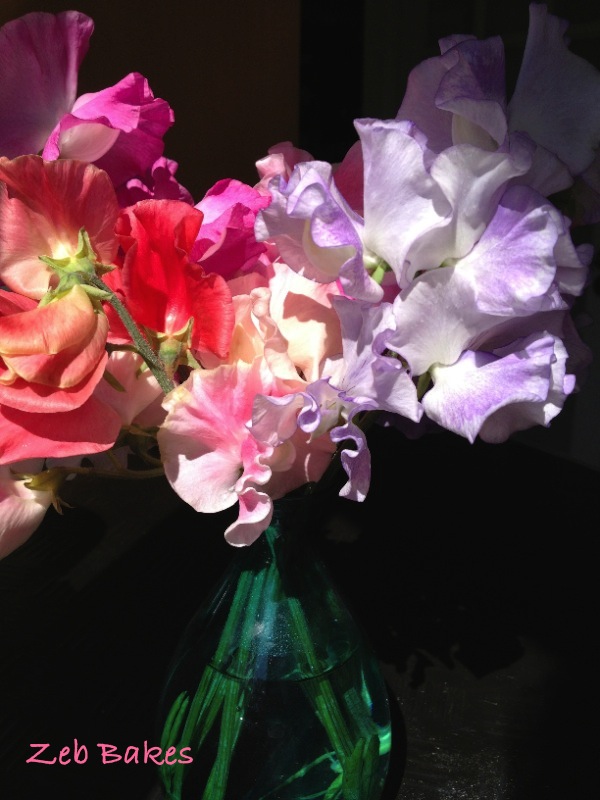 My neighbour's gift of sweet peas