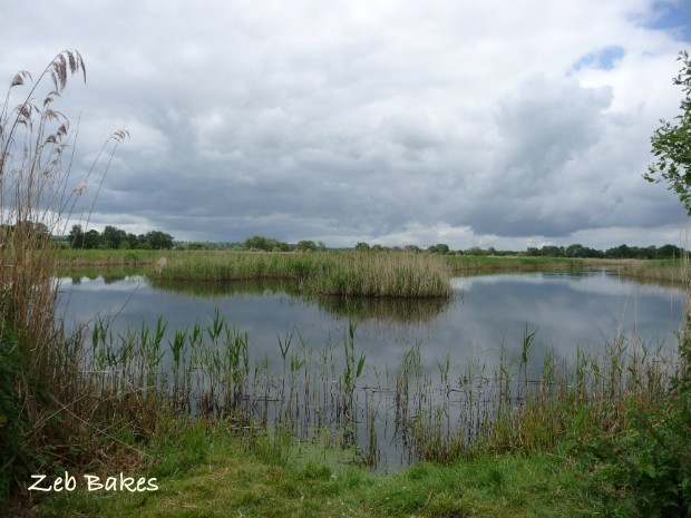 Clouds on the Levels