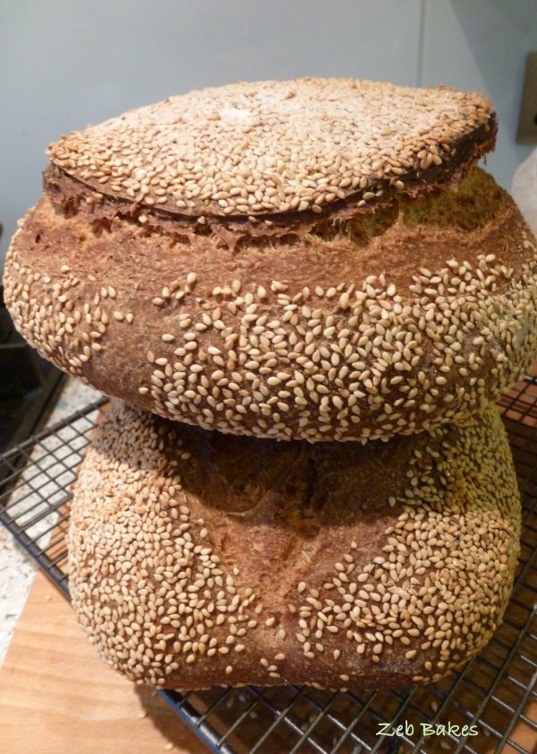 Leeks and Cheese on Kefir Toast4